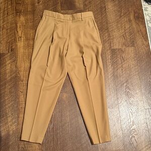 Massimo Dutti Women's Tan Pants